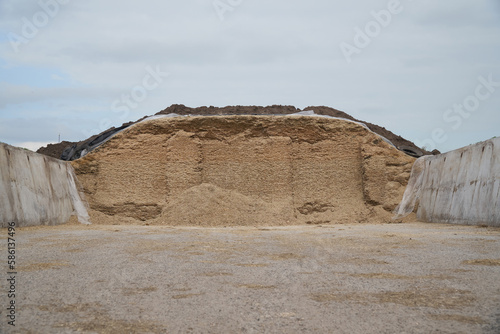Low angle front view of an opened maize silage pit on a dairy farm with large concrete walls on both sides photo