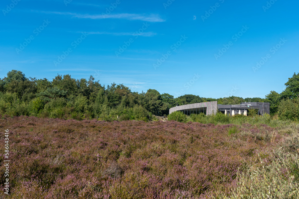 Buitencentrum im Naturschutzgebiet Schoorlser Dünen bei Schoorl