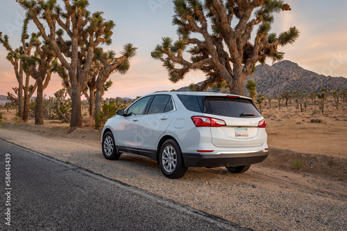 Golden Hour Drive: An Inspiring Road Trip through Joshua Tree at Sunset