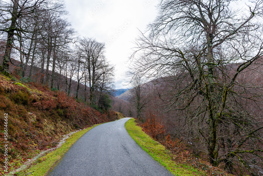 Fototapeta premium Camins del GR11