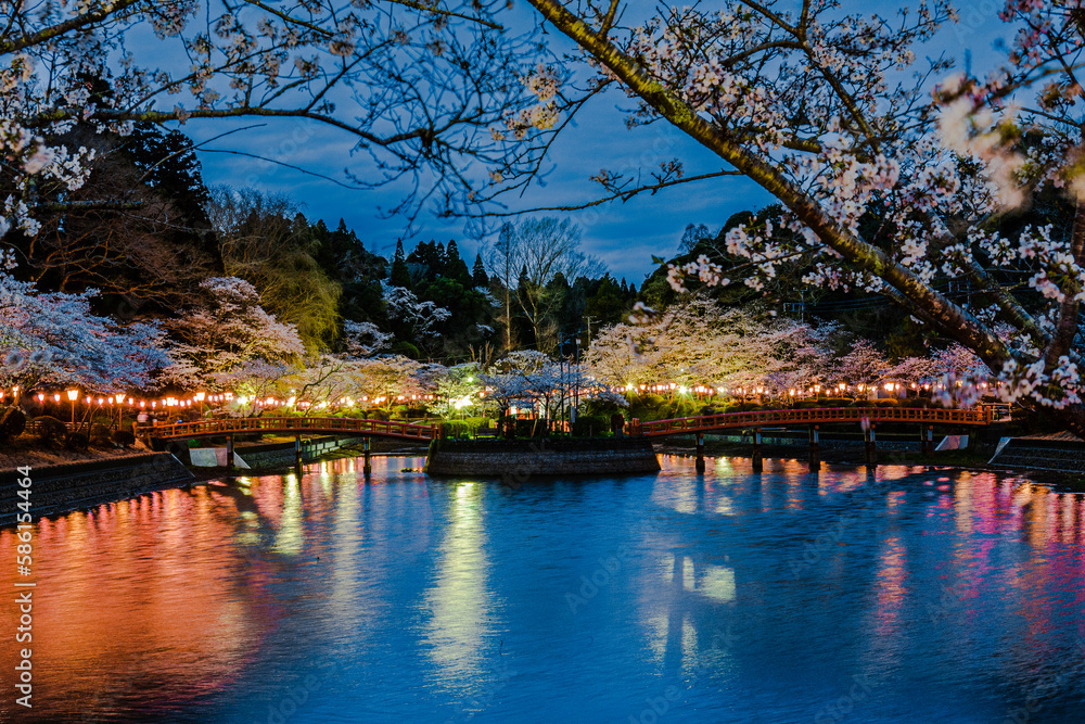 Naklejka premium 茂原公園の夜景
