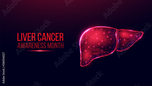 Liver cancer awareness month concept.