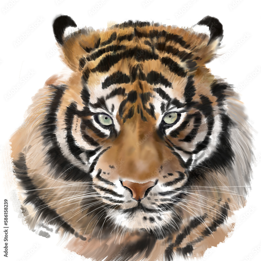 Naklejka premium Digital illustration of a striped tiger with the pale green eyes on the transparent background