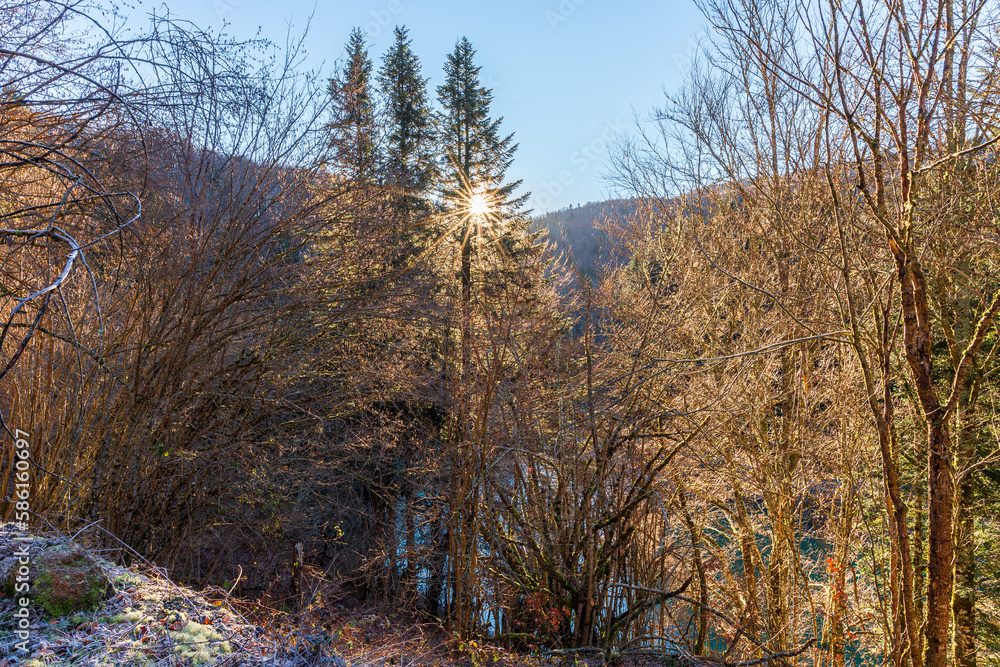 Fototapeta premium Camins del GR11