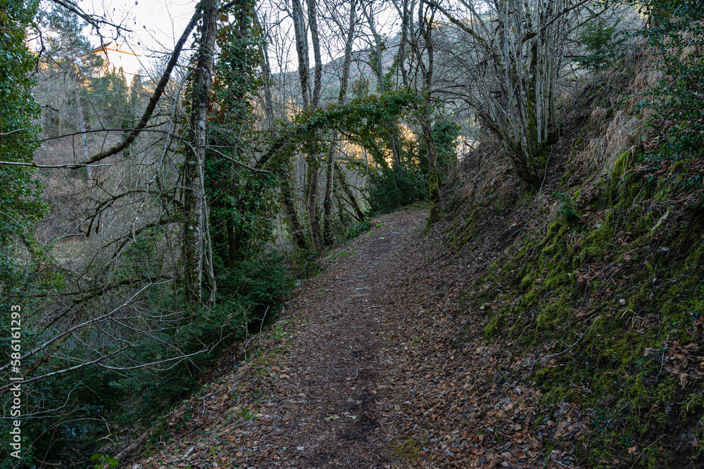 Obraz premium Camins del GR11