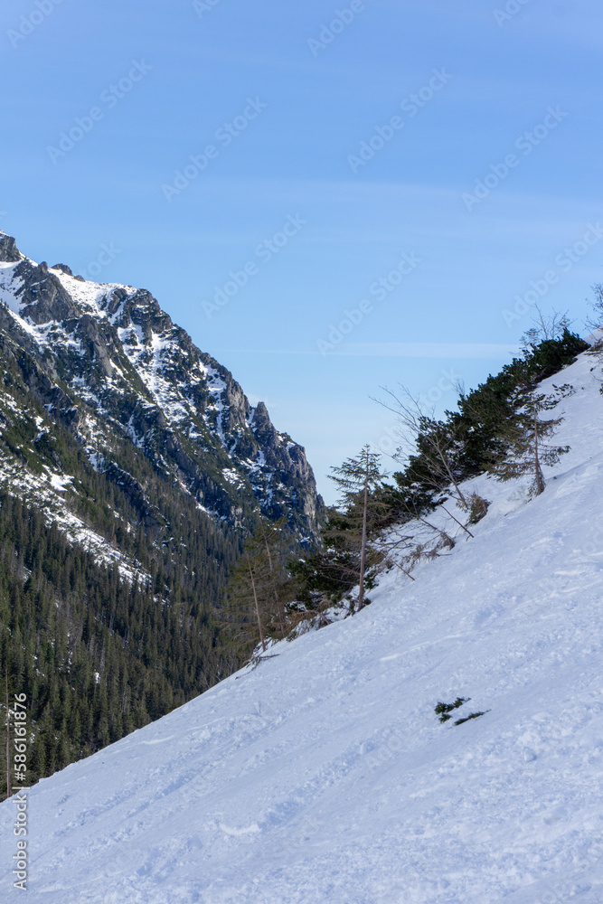 landscape of Tatra mountains in the winter