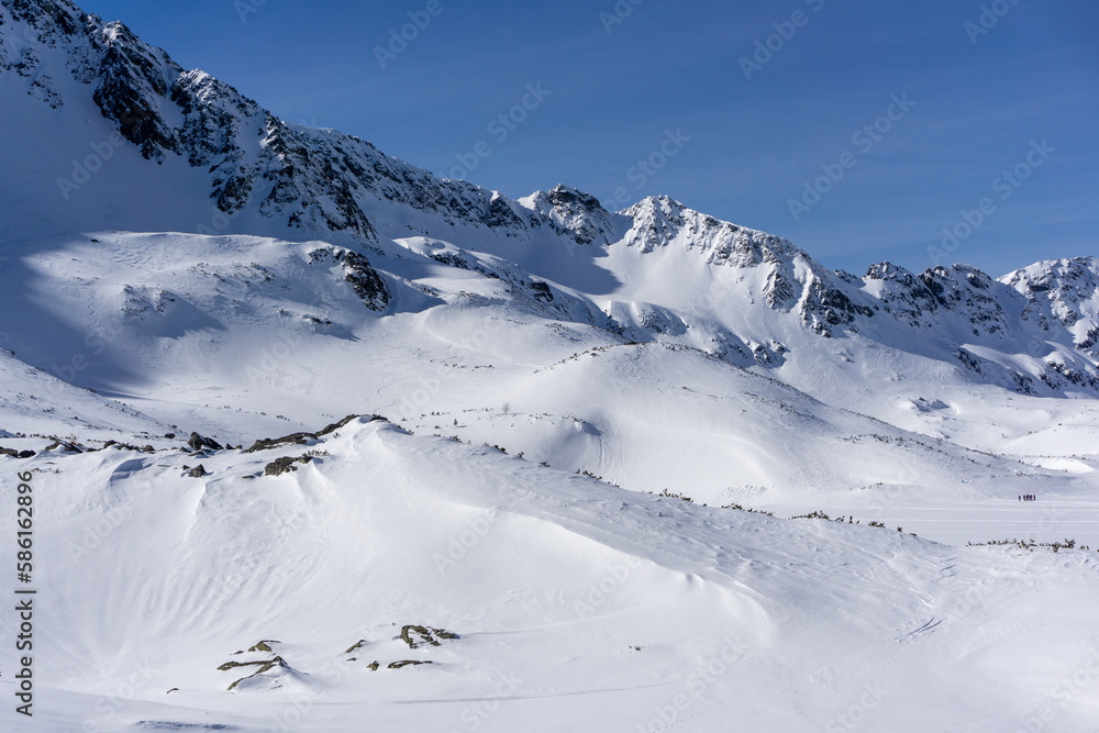 landscape of Tatra mountains in the winter