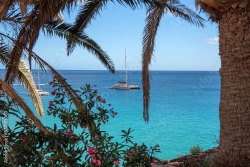 Vista desde un mirador con palmeras tropicales del mar turquesa y cristalino con un barco navegando en Fuerteventura en un día soleado de verano con un cielo azul claro en las Islas Canarias.