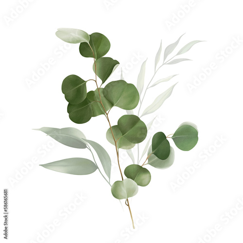 Watercolor bouquet of leaves and eucalyptus branch. Botanical herbal illustration for wedding or greeting card. Hand painted spring composition isolated on white background. Abstract and realistic euc
