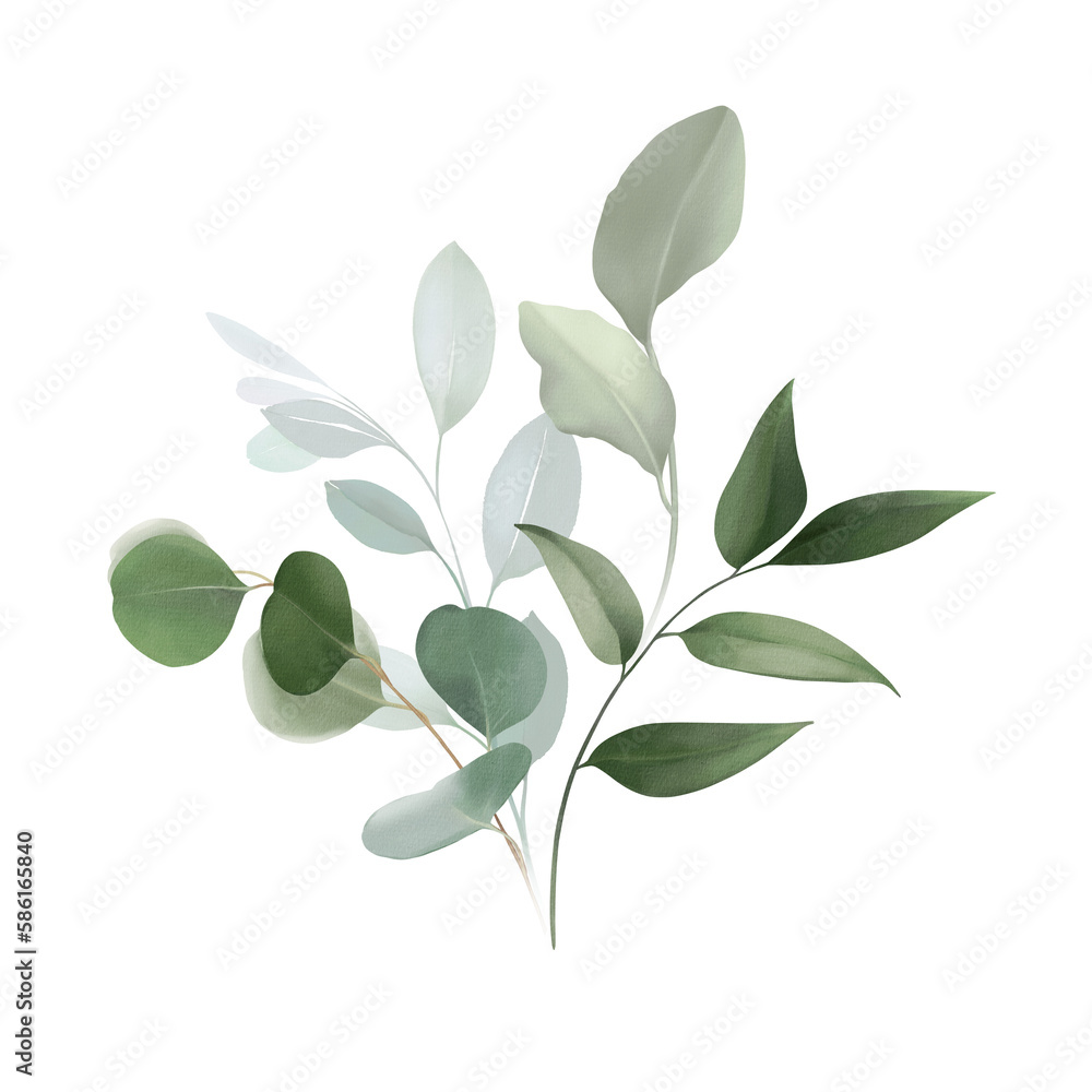 Watercolor bouquet of leaves and eucalyptus branch. Botanical herbal illustration for wedding or greeting card. Hand painted spring composition isolated on transparent background. Realistic eucalyptus Watercolor bouquet of leaves and eucalyptus branch. Botanical herbal illustration for wedding or greeting card. Hand painted spring composition isolated on transparent background. Realistic eucalyptus