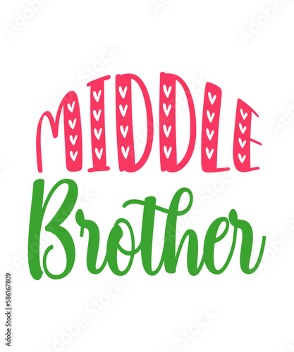 Sibling SVG Bundle, Sibling Announcement, Big Brother, Big Sister, Little Brother, Little Sister, Brother and Sister, Toddler svg, Kids svg, Sibling svg, jpg, pdf, png bundle, 8 designs, baby brother,