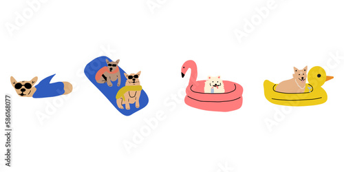 Dog on vacation. Cute animal rest by floating on an inflatable mattress.
