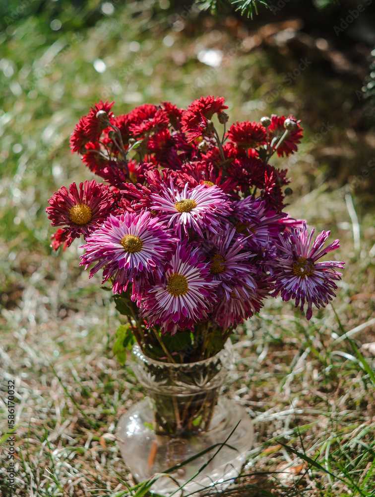 bouquet of flowers