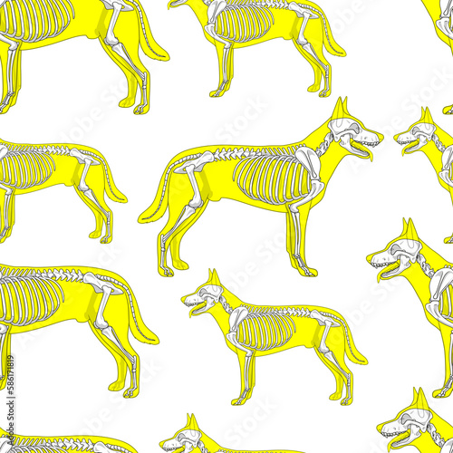 Dog skeleton seamless pattern background PNG illustration with transparent background