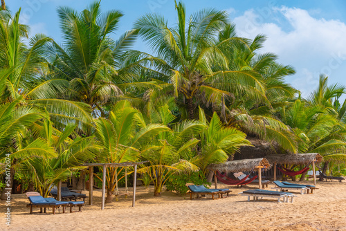 Sunbeds at Marakolliya beach, Sri Lanka photo