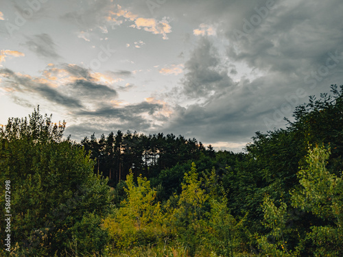 Autumn consonance of colors
