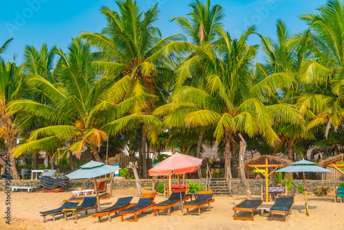 Sunbeds at Marakolliya beach, Sri Lanka photo