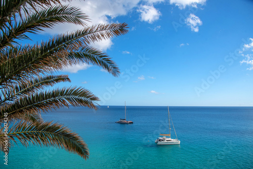 Vista panorámica de dos pequeñas embarcaciones en medio de un mar cristalino de color turquesa y transparente, junto a una palmera en Fuerteventura en un día soleado en las Islas Canarias. © Safi
