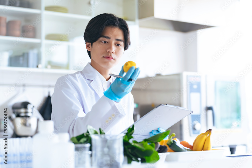 野菜や果物をチェックする研究者 野菜や果物をチェックする研究者
