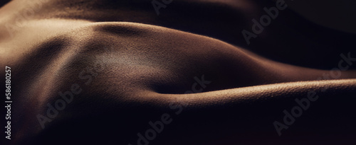 Naked, back and silhouette, closeup of woman and skin with dark aesthetic, sexy and sensual with art. Creative, beauty and nude female zoom with bare body in darkness, abstract and model in studio