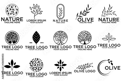 creative leaf and olive oil logo design icon set
