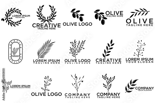 creative leaf and olive oil logo design icon set