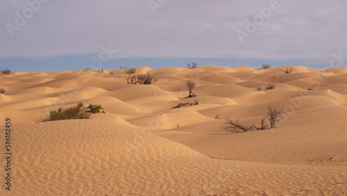 Small  rolling dunes in the Sahara  outside of Douz  Tunisia