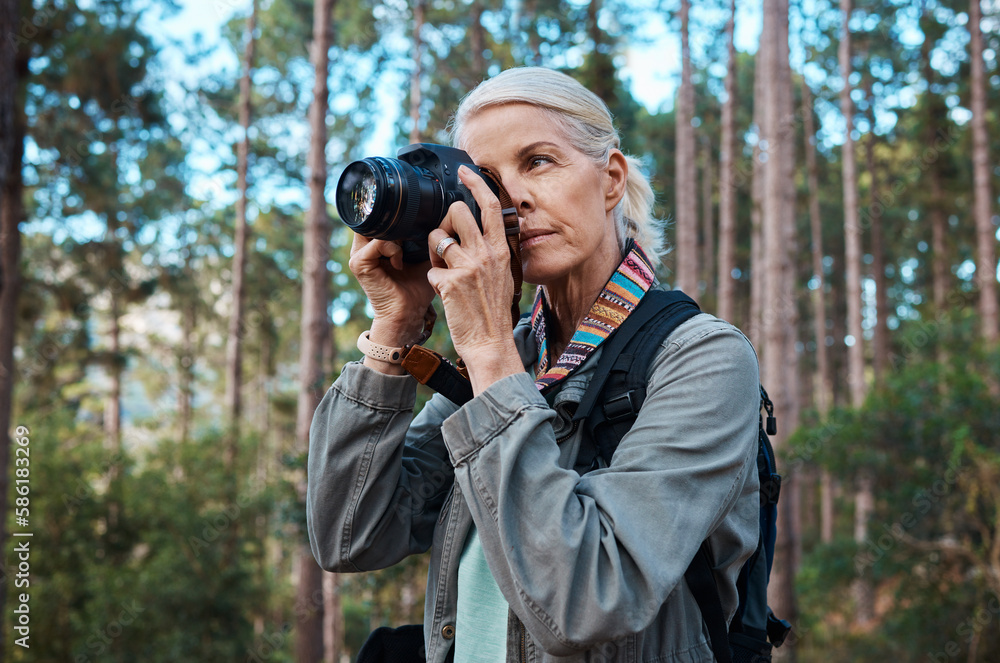 Hiking, nature and woman taking photos with a camera, capturing memories and view in a forest. Travel, tourist and an elderly lady taking pictures in a woods or the mountains for a photography hobby Hiking, nature and woman taking photos with a camera, capturing memories and view in a forest. Travel, tourist and an elderly lady taking pictures in a woods or the mountains for a photography hobby