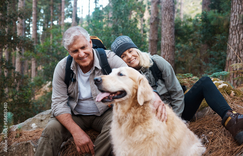 Cuadro en lienzo Nature, hike and senior couple with their dog in the woods for a wellness cardio exercise