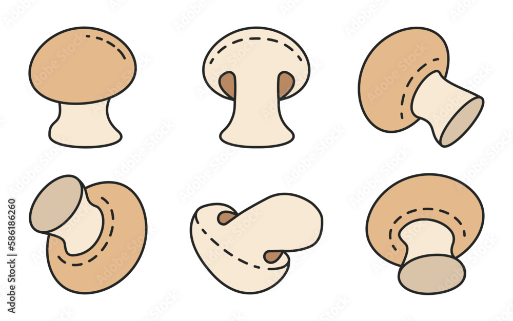 Fototapeta premium Champignon vector color set icon. Vector illustration mushroom champignon on white background . Color set icon mushroom.