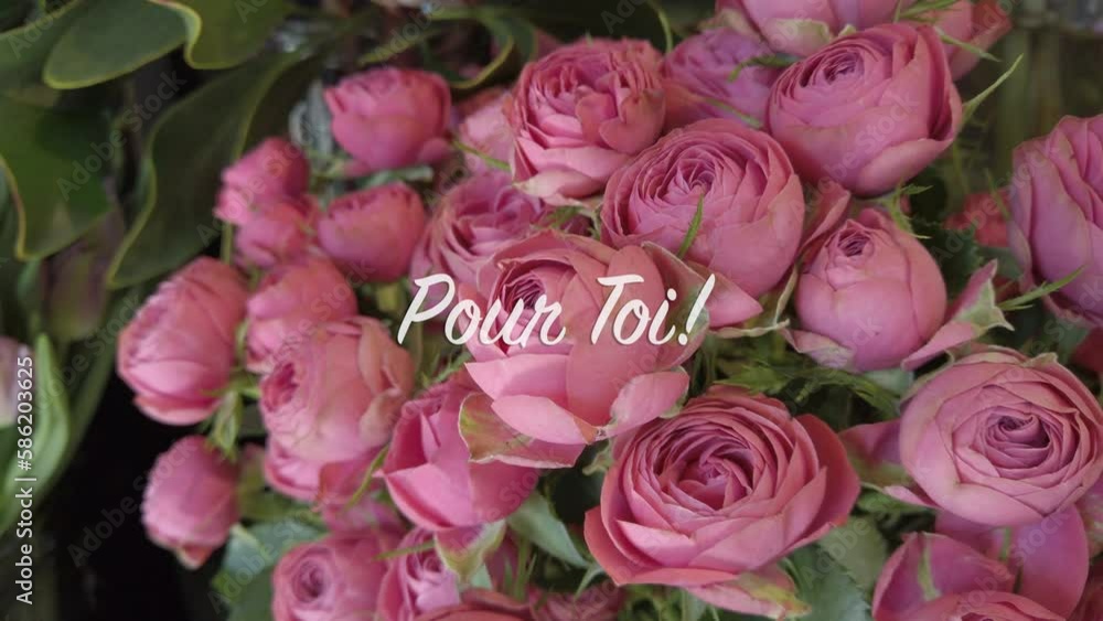 Bouquet of roses with text flying in Pour Toi! Bouquet of roses with text flying in Pour Toi!