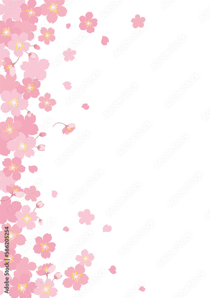 sakura frame 桜フレーム　白