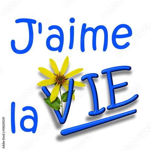 Texte en français avec la phrase J’aime la vie. Lettres surdimensionnées de couleur bleue avec fleur jaune.