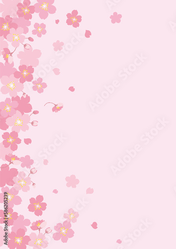 sakura　frame　桜フレーム　ピンク © Etsuko Miura