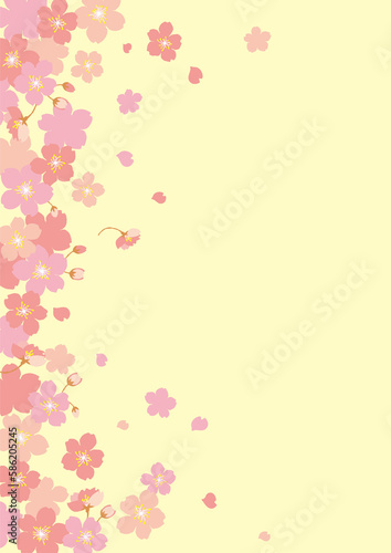  sakura frame 桜フレーム