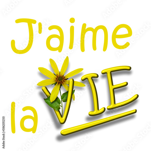 Texte en français avec la phrase J’aime la vie. Lettres surdimensionnées de couleur jaune avec fleur jaune.