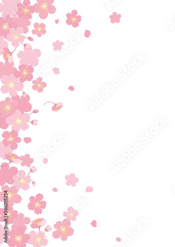 sakura frame 桜フレーム 白