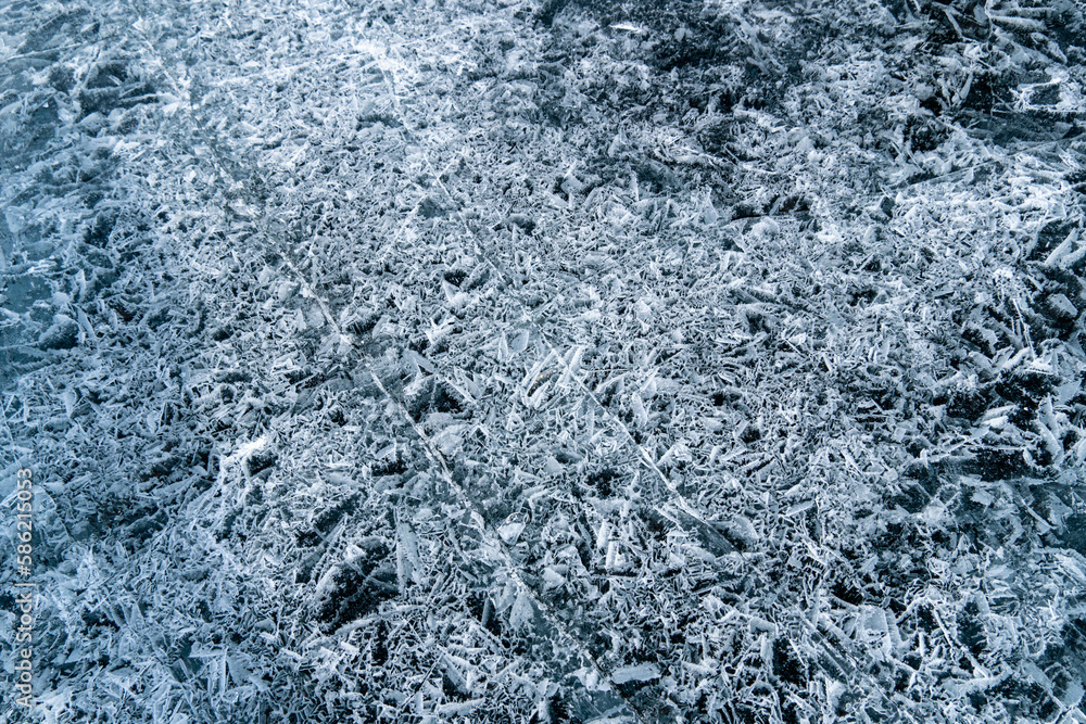 the nature of Lake baikal