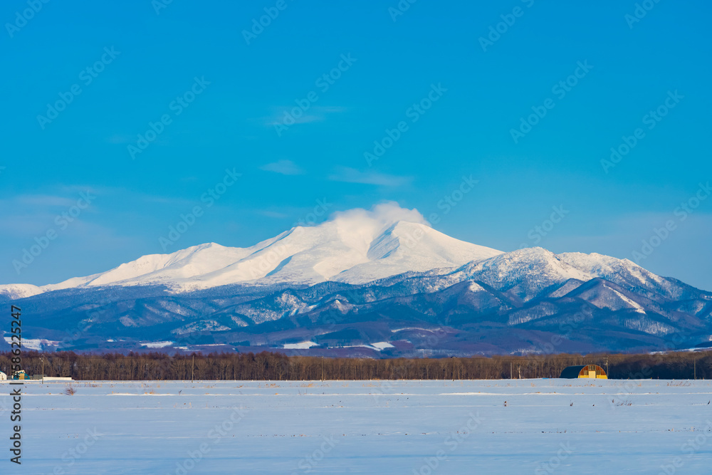 冬の東北海道 雪原の向こうにそびえる斜里岳
