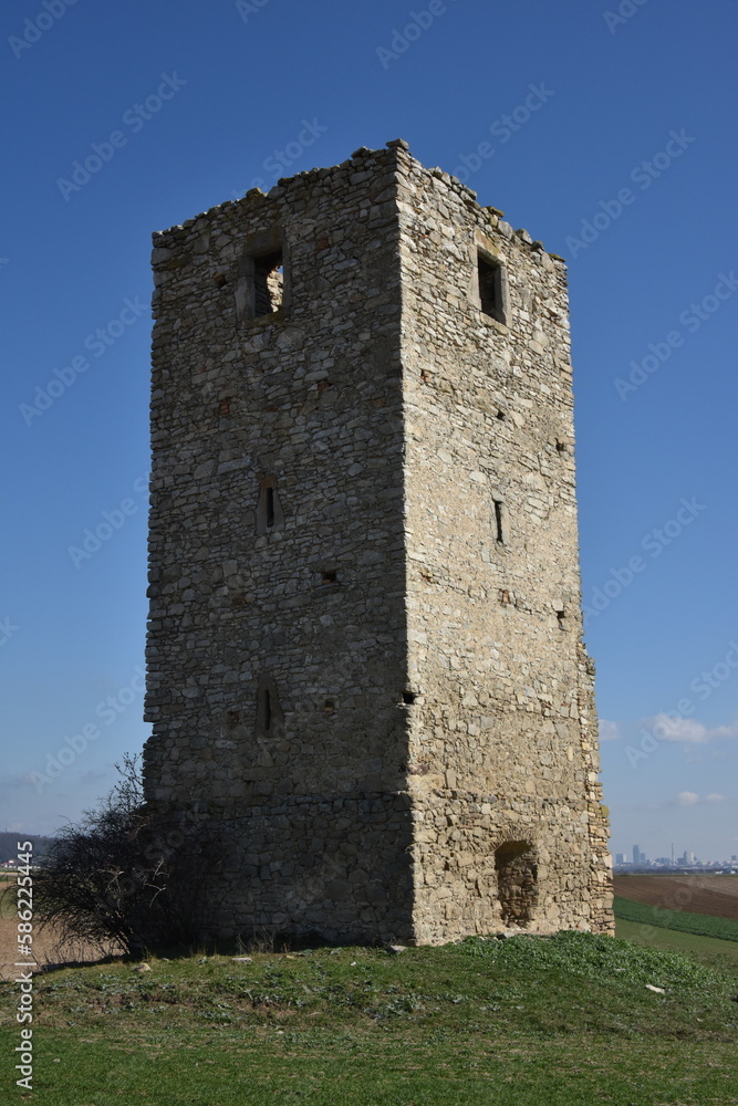 Ruine Heidenturm bei Kittsee, Burgenland, Österreich, 16.03.2023