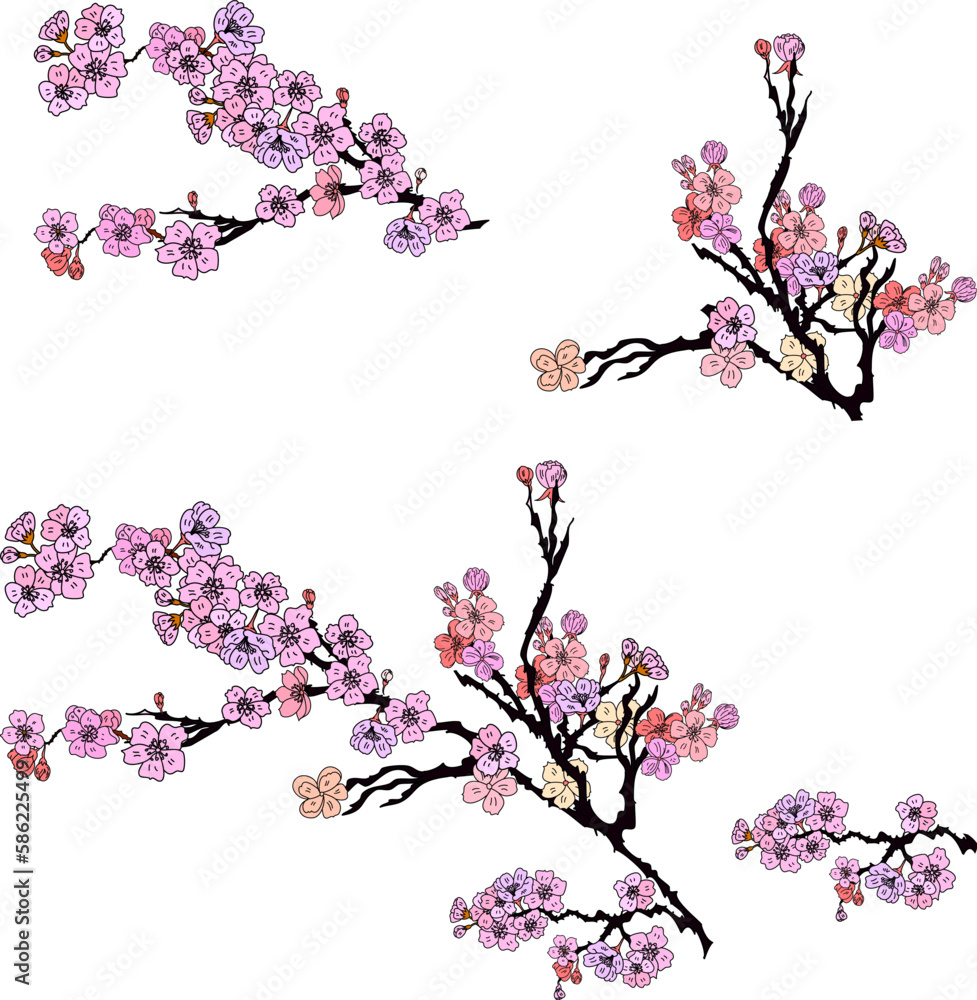 Naklejka premium Free hand Sakura flower vector set, Beautiful line art Peach blossom isolate on white background.Branch of cherry blossom for printing on wallpapers and sticker.Japanese flower.Golden line art.