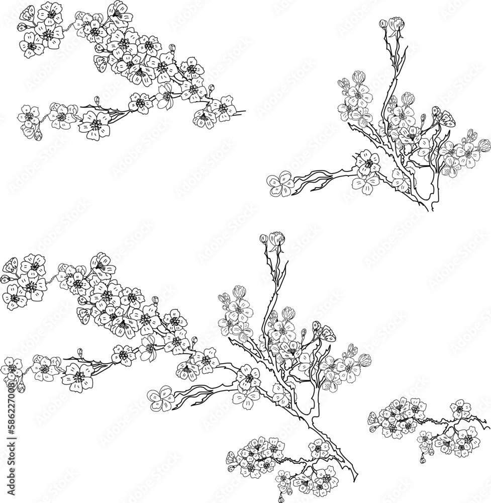 Naklejka premium Free hand Sakura flower vector set, Beautiful line art Peach blossom isolate on white background.Branch of cherry blossom for printing on wallpapers and sticker.Japanese flower.Golden line art.