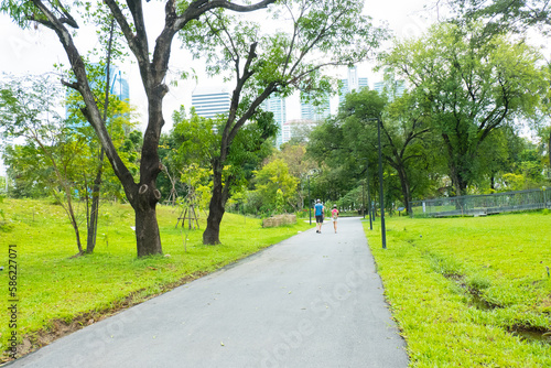 Cityscape view of Park with trees and skywalk.