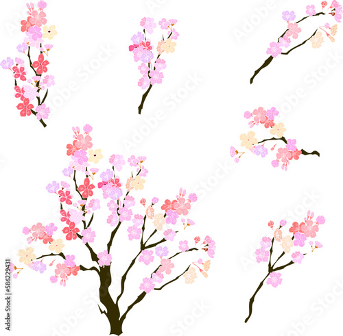 Free hand Sakura flower vector set, Beautiful line art Peach blossom isolate on white background.Branch of cherry blossom for printing on wallpapers and sticker.Japanese flower.Golden line art.
