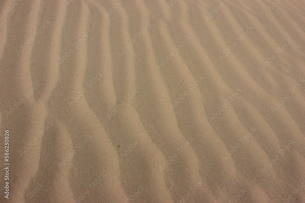 waves of sand created by the sea breeze in the middle of summer waves of sand created by the sea breeze in the middle of summer