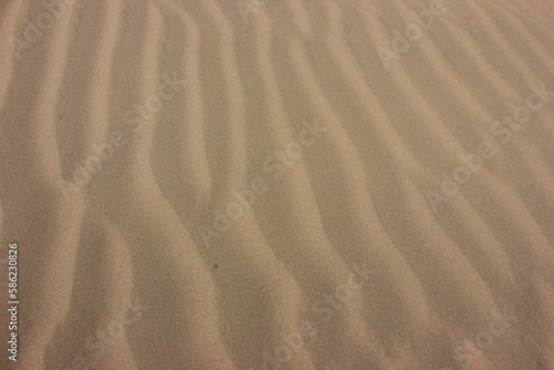 waves of sand created by the sea breeze in the middle of summer