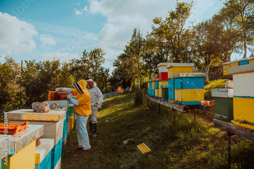 Beekeepers checking honey on the beehive frame in the field. Small business owners on apiary. Natural healthy food produceris working with bees and beehives on the apiary.