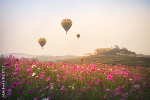 A hot air balloon floating above a field of colorful cosmos flowers and birds flying over a foggy morning at Singha Park  Chiang Rai  Thailand. 