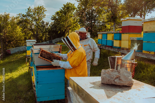 Beekeepers checking honey on the beehive frame in the field. Small business owners on apiary. Natural healthy food produceris working with bees and beehives on the apiary.