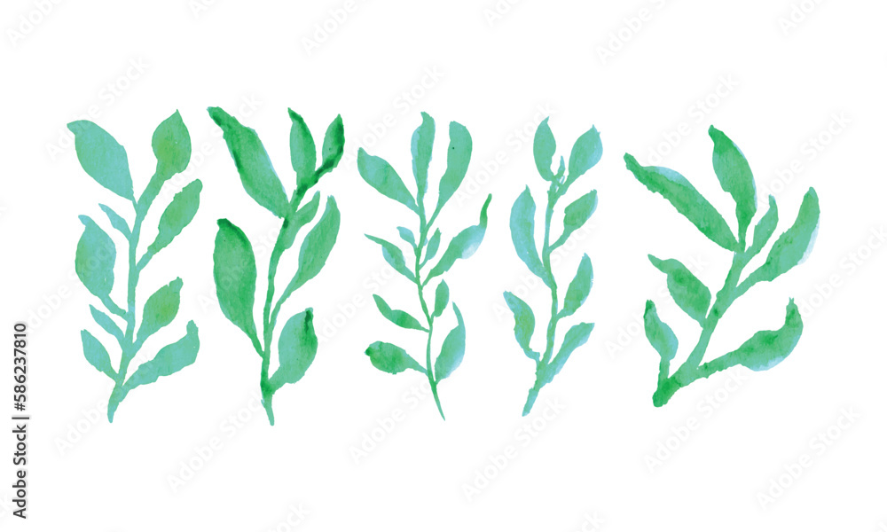 Fototapeta premium A row of green trees on a white background. hand drawn plants. Hand drawn leaves draw